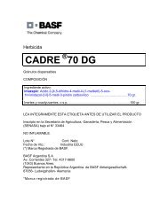 herbicida CADRE 70 DG