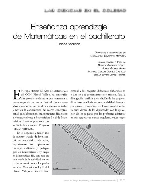 Enseñanza-aprendizaje de Matemáticas en el ... - CCH - UNAM