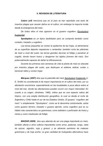 II. REVISION DE LITERATURA.pdf