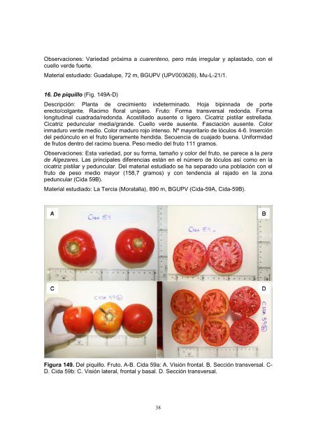 Descargar 6. Tesis JMES. Recursos Fitogenéticos - Del Campo al ...