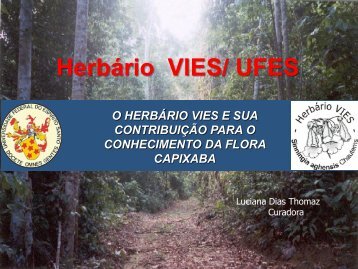 Herbário VIES/ UFES