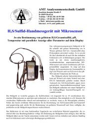 H2s/Sulfid-Handmessgerät mit Mikrosensor - AMT ...