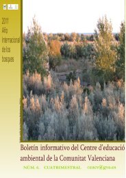 Boletín nº 6 - Conselleria de Territorio y Vivienda - Generalitat ...
