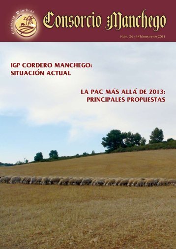 LA PAC MÁS ALLÁ DE 2013: PRINCIPALES ... - agrama