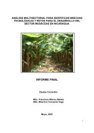 INFORME FINAL - funica