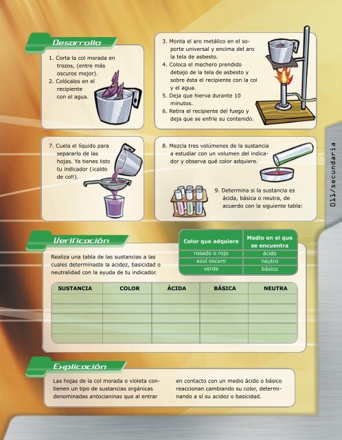 Secundaria - Conacyt