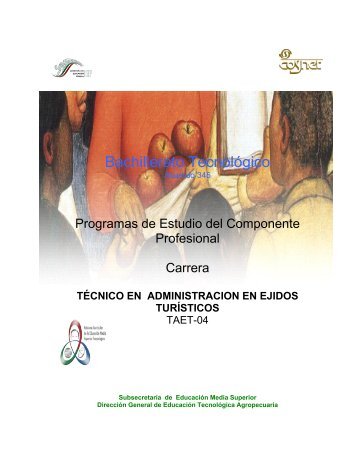 Bachillerato Tecnológico - Secretaría de Educación Pública