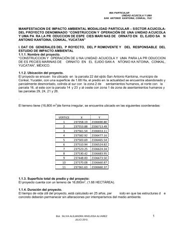 manifestacion de impacto ambiental modalidad ... - sinat - Semarnat