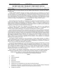 NOM-017-STPS-2008 - Normas Oficiales Mexicanas de Seguridad y ...