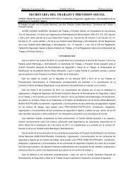 Nom 019 STPS 2011 - Normas Oficiales Mexicanas de Seguridad y ...