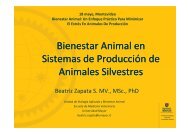 Bienestar Animal en Sistemas de Producción de Animales ...