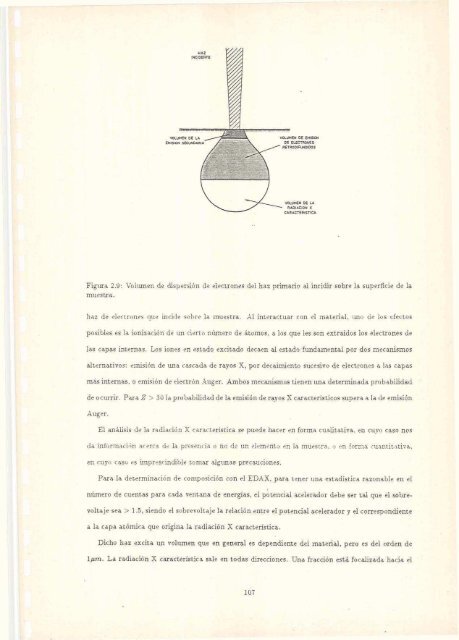 Biblioteca Digital | FCEN-UBA | Piotrkowski, Rosa. 1990 "Carburos ...