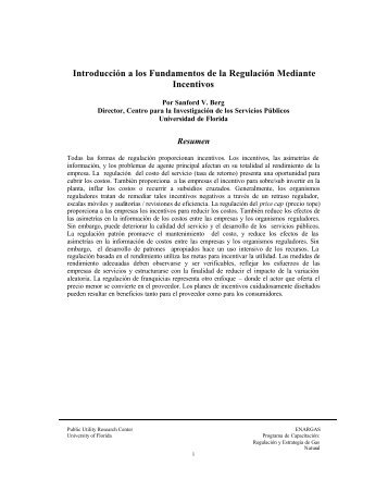 Introducción a los Fundamentos de la Regulación Mediante Incentivos