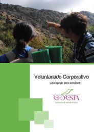 Voluntariado Corporativo