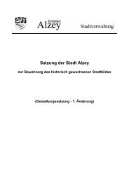 ÜBERSICHTSPLAN GELTUNGSBEREICH ... - Alzey