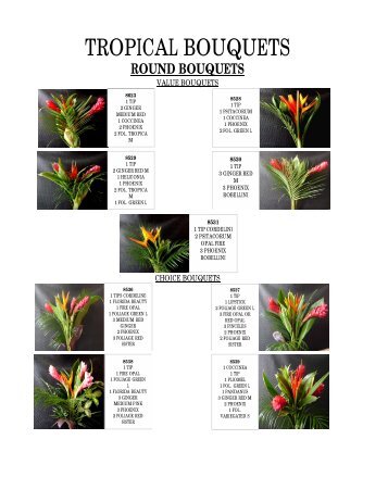 TROPICAL BOUQUETS - Mex Y Can Trading