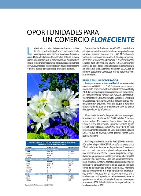 oportunidades para un comercio floreciente - ComexPerú