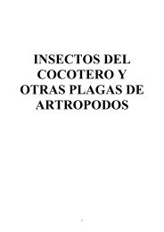 Insectos del Cocotero - Estado de Guerrero
