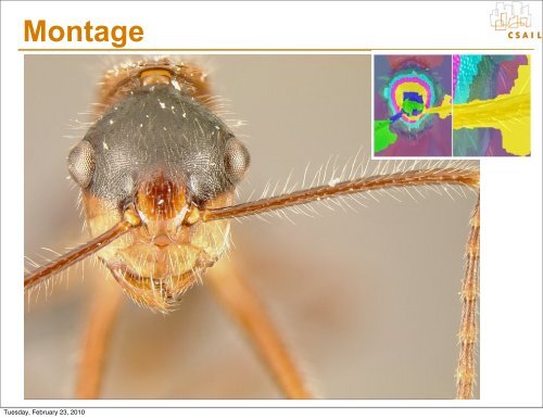 Digital image stabilization - Computer Graphics Laboratory