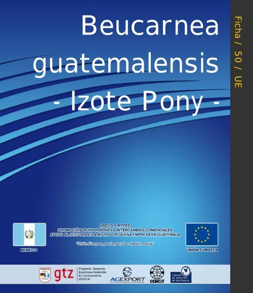 Izote Pony