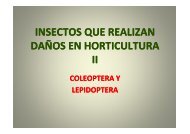 Coleopteros y Lepidopteros - Departamento de Protección Vegetal