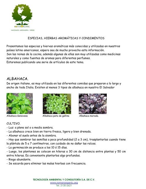 ALBAHACA. - Tecnología Ambiental & Consultoria SA de CV