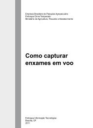 Como capturar enxames em voo - Livraria Embrapa