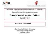 Tema II.10. Fotosíntesi. - Universitat Autònoma de Barcelona