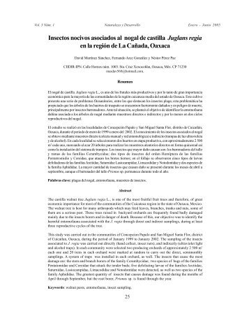 Insectos nocivos asociados al cultivo del nogal de - CIIDIR Unidad ...