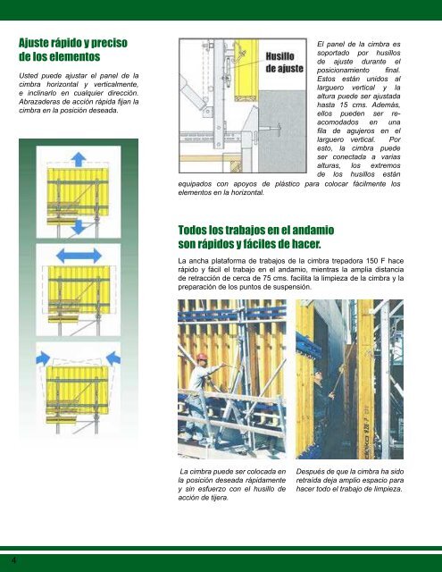 Cimbra trepadora [819 KB] - mexpresa