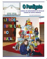 O Perdigoto - No-IP.com