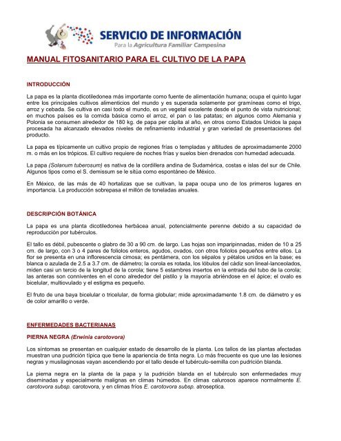 Fitosanidad en Cultivo de Papa - Agrisave Andina SAS - Productos ...