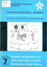 CENTRO NACIONAL MINERO