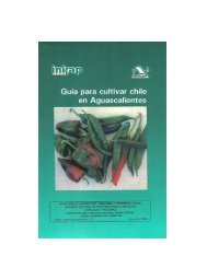 folleto productores 23 chile.pdf - inifap - aguascalientes