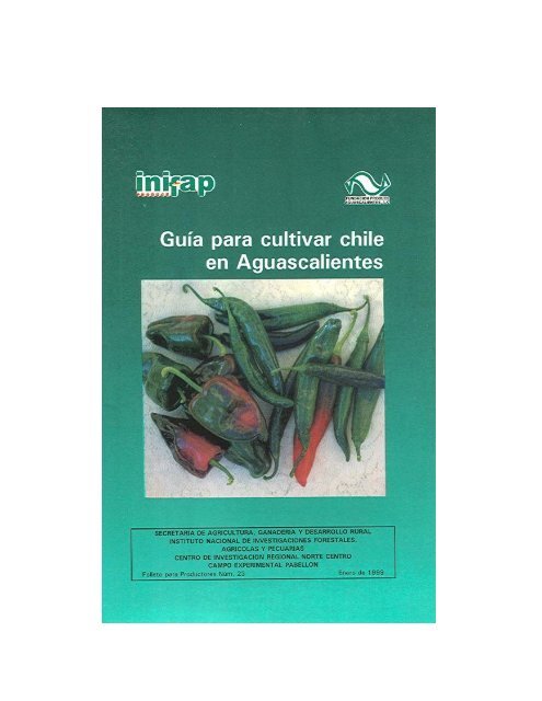 folleto productores 23 chile.pdf - inifap - aguascalientes