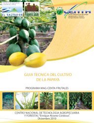 GUIA CULTIVO PAPAYA.pdf - centa