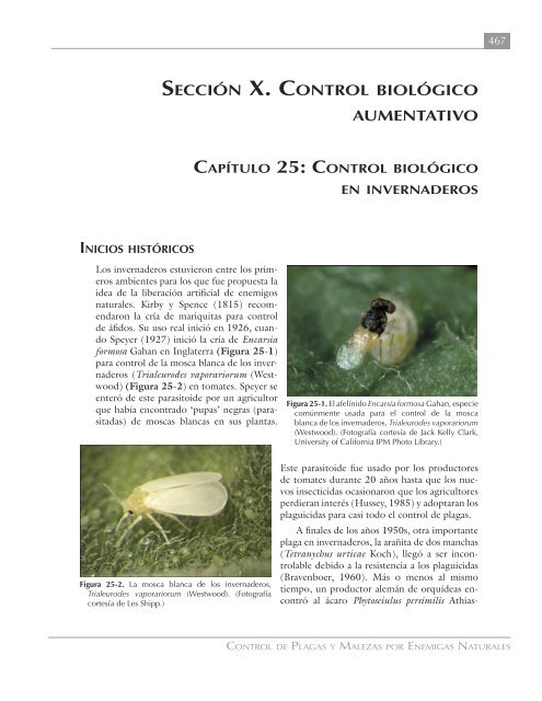 Control biológico en invernaderos - Avocadosource.com