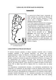 38 cuenca propia del rio pepiri-guazu en argentina - Subsecretaría ...