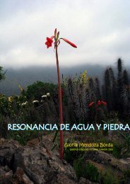 Resonancia de Agua y Piedra - Revista Qantati » SPLASH