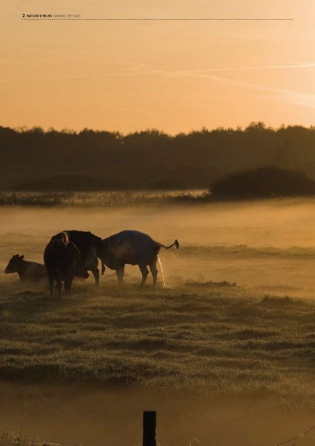 20111012-natuur milieu-rapport-rankingthestars