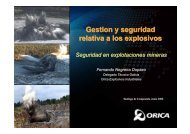 DETONADOR NO ELECTRICO - Camara Oficial Minera de Galicia
