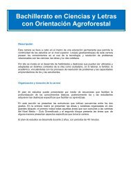 Bachillerato en Ciencias y Letras con Orientación Agroforestal