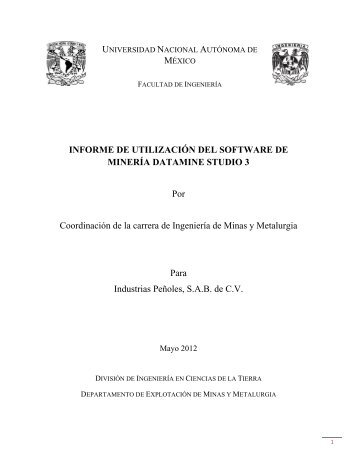 informe de utilización del software de minería datamine studio 3