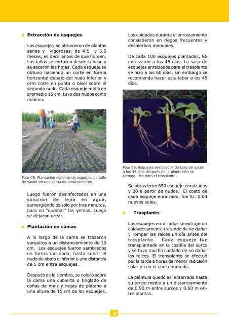 Experiencia de técnicas de propagación vegetativa para la ...