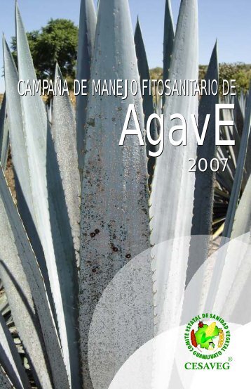 folleto agave 07.cdr - cesaveg