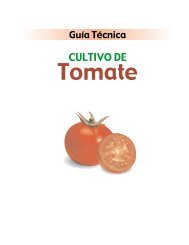 Guia Tomate.pdf - centa