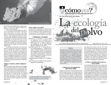 No. 162, p. 16, La ecología del polvo - Cómo ves?