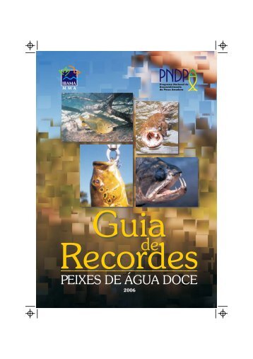 GUIA DE RECORDES 001.cdr - Ibama
