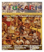 Medicina tradicional indígena - Universidad de Guadalajara