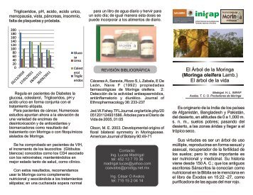 Tríptico sobre La moringa - Analog Forestry Network